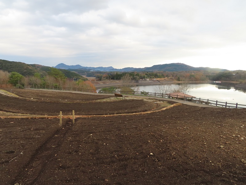 211203フラワーガーデン (4)