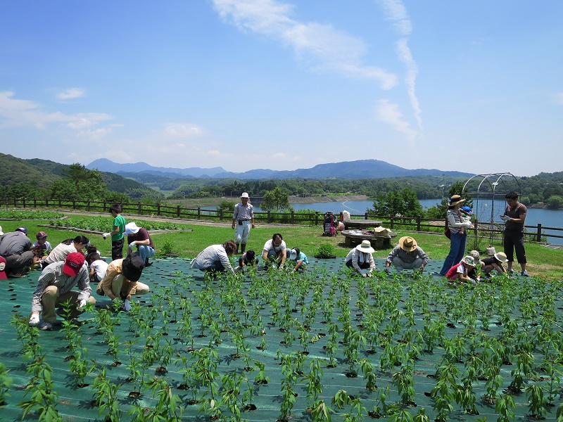 161010%e3%83%95%e3%82%b8%e3%83%90%e3%82%ab%e3%83%9e