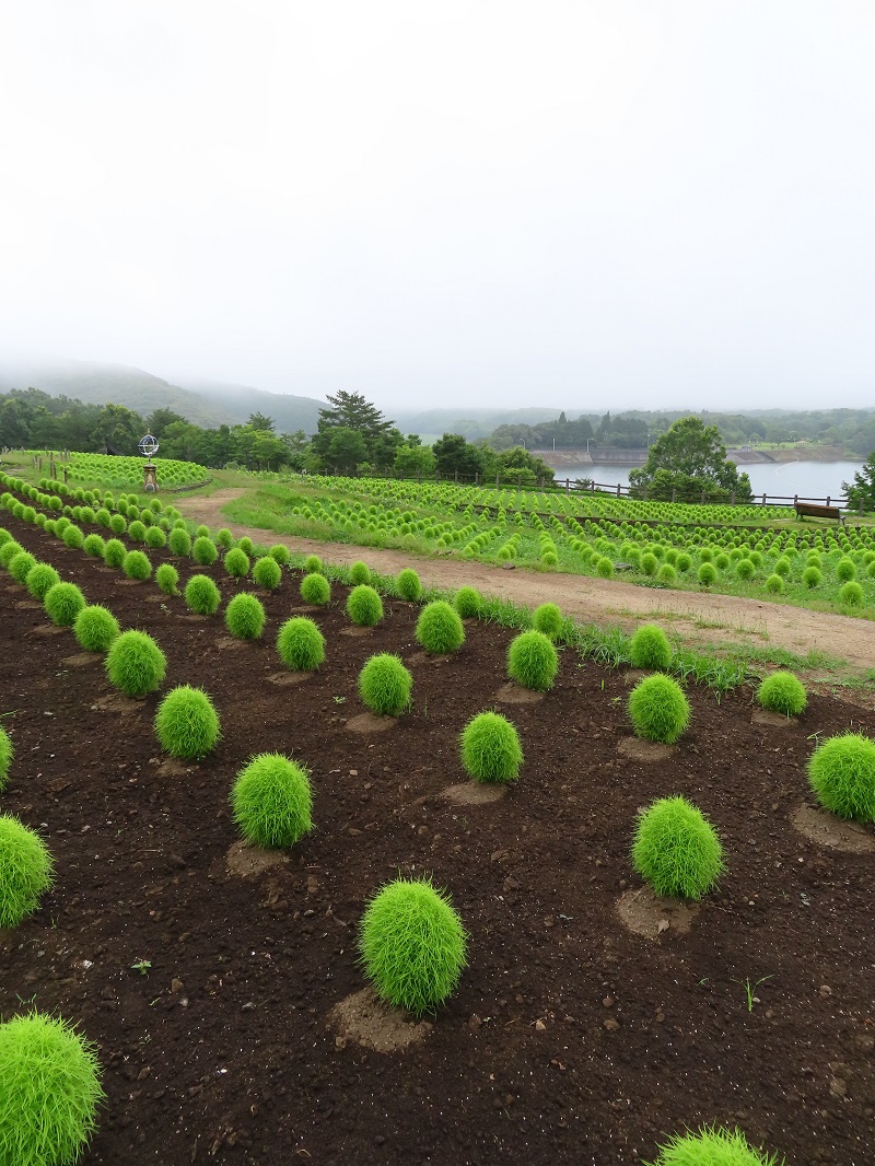 釣り禁止エリアMAP(2020年)