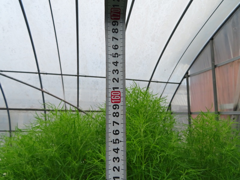 釣り禁止エリアMAP(2020年)