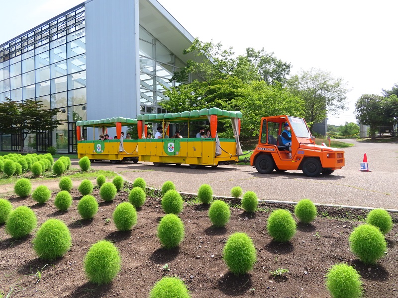 釣り禁止エリアMAP(2020年)