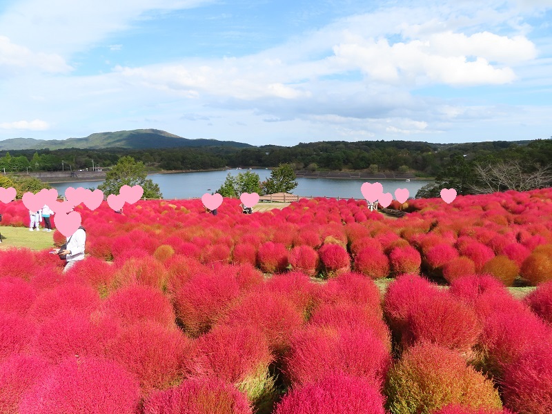 釣り禁止エリアMAP(2020年)